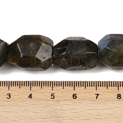 Natural Labradorite Beads Strands G-F796-C10-01-1