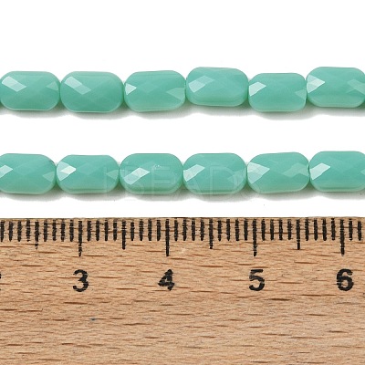 Opaque Glass Beads Strands GLAA-Z018-D21-1