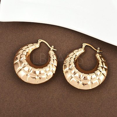 Brass Hoop Earrings EJEW-H168-07G-1