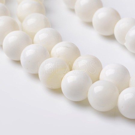 Natural Shell Round Bead Strands X-BSHE-O016-A-03-1