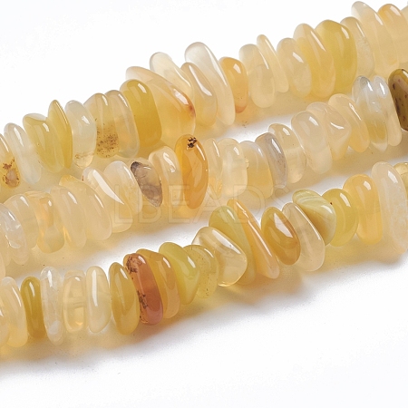 Natural Yellow Opal Beads Strands X-G-G841-B12-1