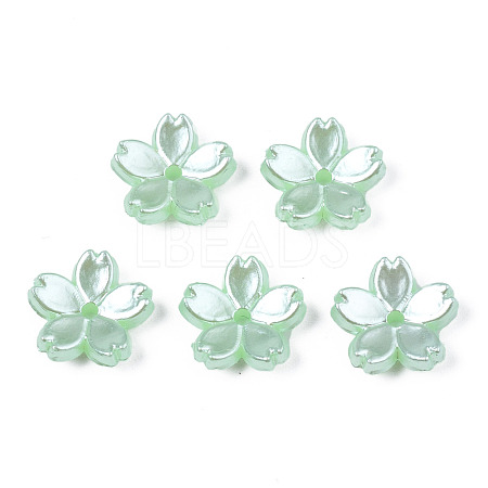 Acrylic Imitation Pearl Beads OACR-N012-002F-1