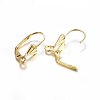 304 Stainless Steel Leverback Earring Findings STAS-P210-32G-2