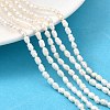 Natural Cultured Freshwater Pearl Beads Strands PEAR-I007-01O-01C-1