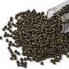 TOHO Round Seed Beads X-SEED-TR08-0702-1