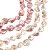 BENECREAT 4Strands 2 Style AB Color Plated Natural Freshwater Shell Beads Strands BSHE-BC0001-15-1