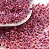 Glass Seed Beads SEED-A032-01F-1