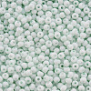 8/0 Opaque Glass Seed Beads SEED-S048-N-007-3
