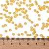 TOHO Round Seed Beads SEED-JPTR08-0148F-4