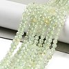 Natural Prehnite Beads Strands LS-G-G161-A13-03-2
