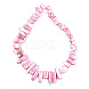 Natural Freshwater Shell Beads Strands X-SHEL-N026-123B-3