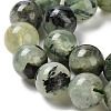 Natural Prehnite Beads Strands G-P322-48-10mm-01-4