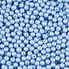Glass Seed Beads SEED-T007-01N-2