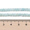 Natural Freshwater Shell Dyed Beads Strands SHEL-R100-11A-03-4