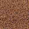 MIYUKI Round Rocailles Beads SEED-X0056-RR0275-3