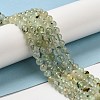 Natural Prehnite Beads Strands G-S333-6mm-032-6