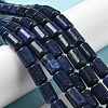 Natural Lapis Lazuli Beads Strands G-M420-E02-03-2