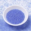 MIYUKI Delica Beads X-SEED-J020-DB1405-2