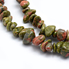 Natural Unakite Beads Strands G-P332-33-2