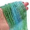 Transparent Painted Glass Beads Strands LS-DGLA-A034-T4mm-A17-2