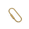 Brass Screw Carabiner Lock Charms KK-ZX025-61C-1