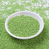 MIYUKI Round Rocailles Beads X-SEED-G007-RR0479-2