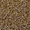 MIYUKI Delica Beads SEED-J020-DB2155-3
