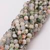 Natural Tree Agate Bead Strands G-G882-6mm-E02-1
