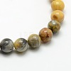 Round Natural Crazy Lace Agate Beads Strands G-P058B-01-2
