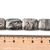 Natural Map Stone Beads Strands G-S386-A13-5