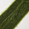 5 Yards Polyester Frayed Ribbon OCOR-WH0082-226B-06-1