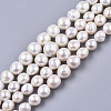 Natural Nucleated Pearl PEAR-S016-009-1