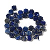 Natural Lapis Lazuli Beads Strands G-P534-A12-02-3
