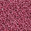 12/0 Glass Seed Beads E06900F2-3