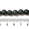 Natural Black Jade Beads Strands G-H067-A03-6MM-5