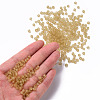 6/0 Glass Seed Beads X1-SEED-A008-4mm-M2-4