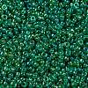 MIYUKI Round Rocailles Beads SEED-X0056-RR0354-3