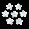 Natural White Shell Beads SSHEL-N027-131E-01-1