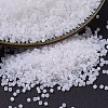 MIYUKI Delica Beads SEED-MY11-DB0220-1