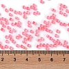 Glass Seed Beads SEED-S042-13A-07-4