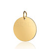 Ion Plating(IP) 304 Stainless Steel Pendants STAS-I311-06G-1