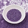 MIYUKI Delica Beads X-SEED-J020-DB1754-2