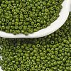 Baking Paint Glass Seed Beads SEED-S001-K9-1