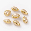 Natural Shell Beads BSHE-C001-04G-2