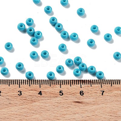 Baking Paint Glass Seed Beads SEED-H002-I-A508-1