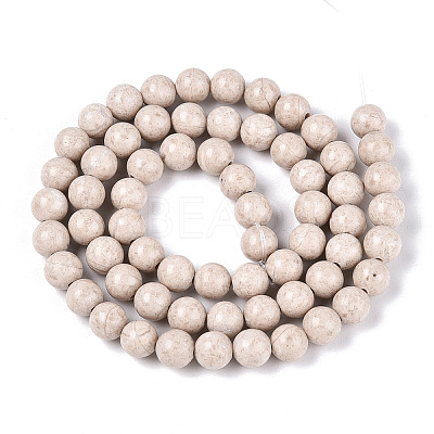 Dyed Natural Fossil Beads Strands G-T139-6mm-66A-1