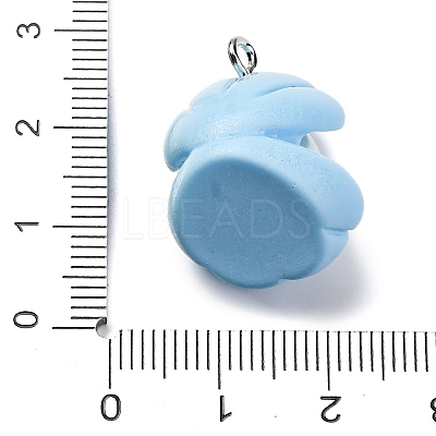 Opaque Resin Pendants RESI-P043-01P-04-1