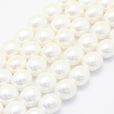 Shell Pearl Beads Strands BSHE-P024-15-1