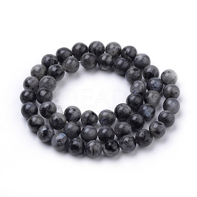 Natural Larvikite Beads Strands X-G-S259-06-6mm-1