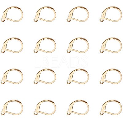 304 Stainless Steel Leverback Earring Findings STAS-PH0018-28G-1